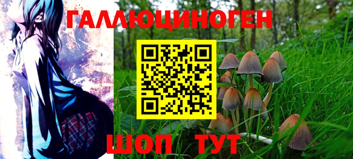 Галлюциногенные грибы мицелий  Вход с VPN  Галлюциногенные грибы GOLDEN TEACHER  Дедовск 