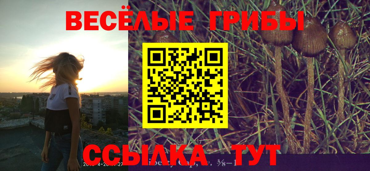 Псилоцибиновые грибы ЛСД Дедовск
